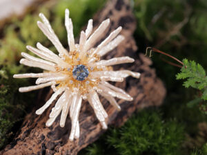 寒香暮影 Frosted Bloom