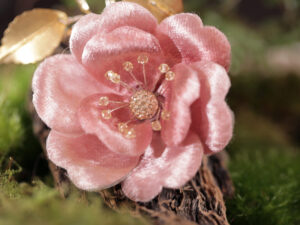 絲羽茶馨Silken Grace