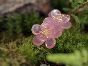 春語桃綻 Petal Prelude