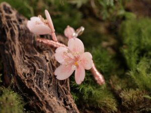 水晶山櫻花飾課程